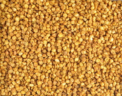 Hing Chana dal Manufacturer Supplier Wholesale Exporter Importer Buyer Trader Retailer in Indore Madhya Pradesh India